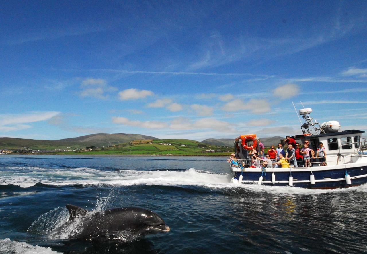 Dingle Harbour Cottages 3 Bed Sleeps 7 By Trident Holiday Homes Exterior foto