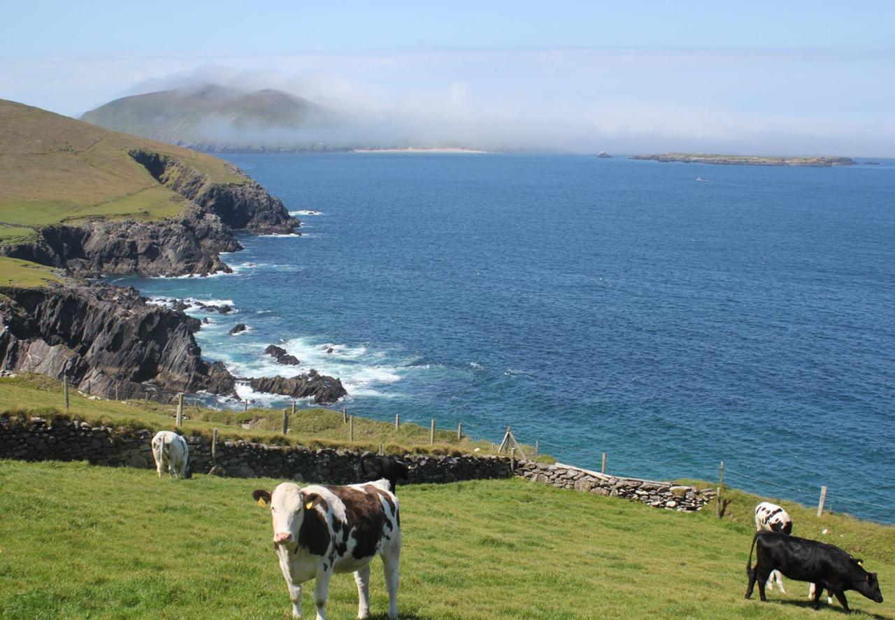 Dingle Harbour Cottages 3 Bed Sleeps 7 By Trident Holiday Homes Exterior foto
